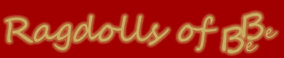 Ragdolls of BeBe
